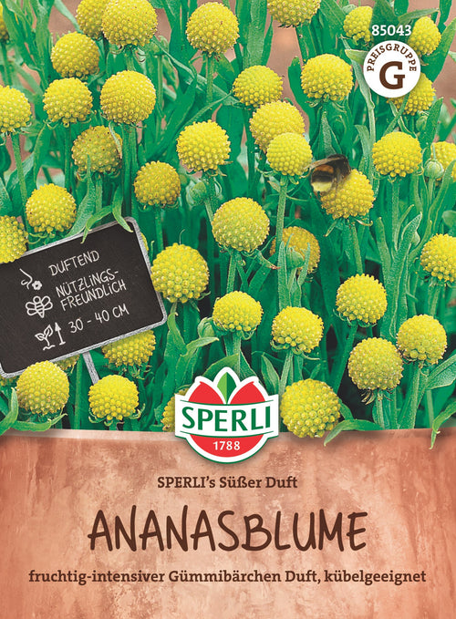 SPERLI Ananasblume SPERLI's Süßer Duft