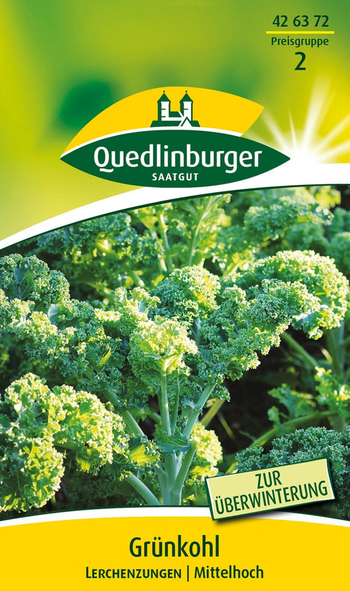 Quedlinburger Grünkohl Lerchenzungen