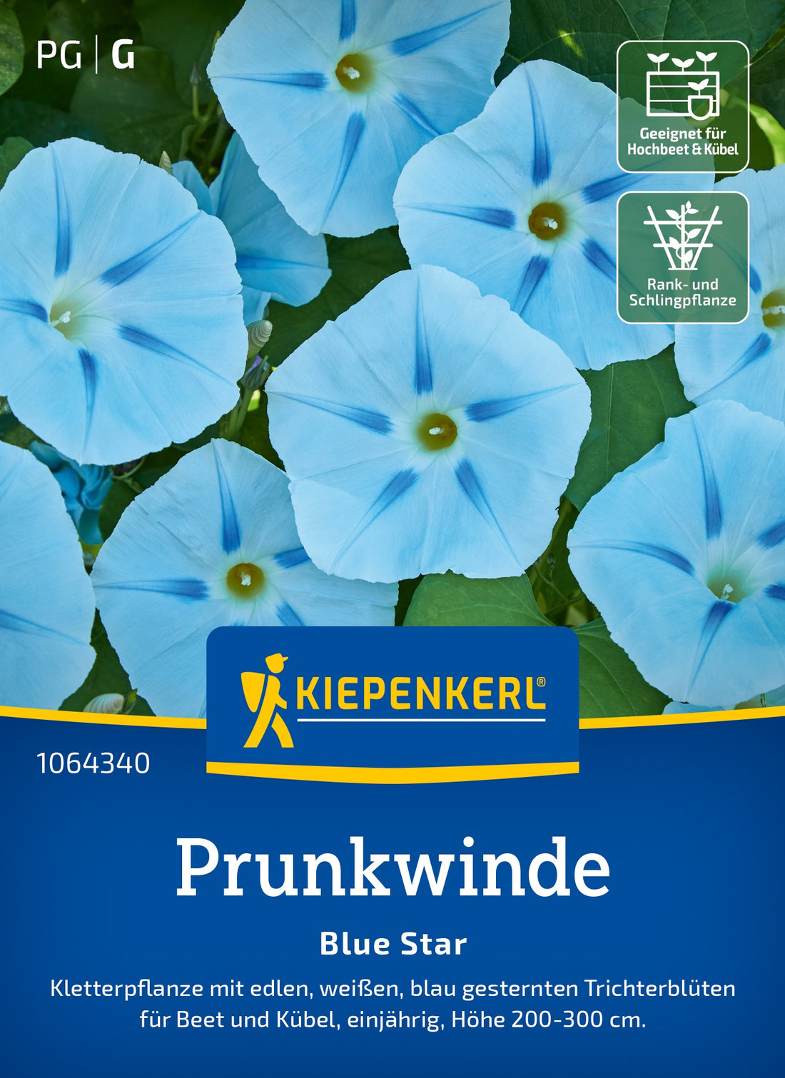 Kiepenkerl Prunkwinden Blue Star
