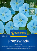 Kiepenkerl Prunkwinden Blue Star