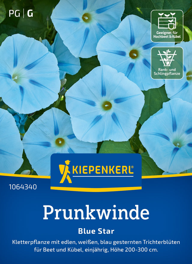 Kiepenkerl Prunkwinden Blue Star