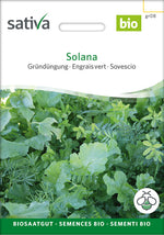 Sativa BIO Gründüngung Solana