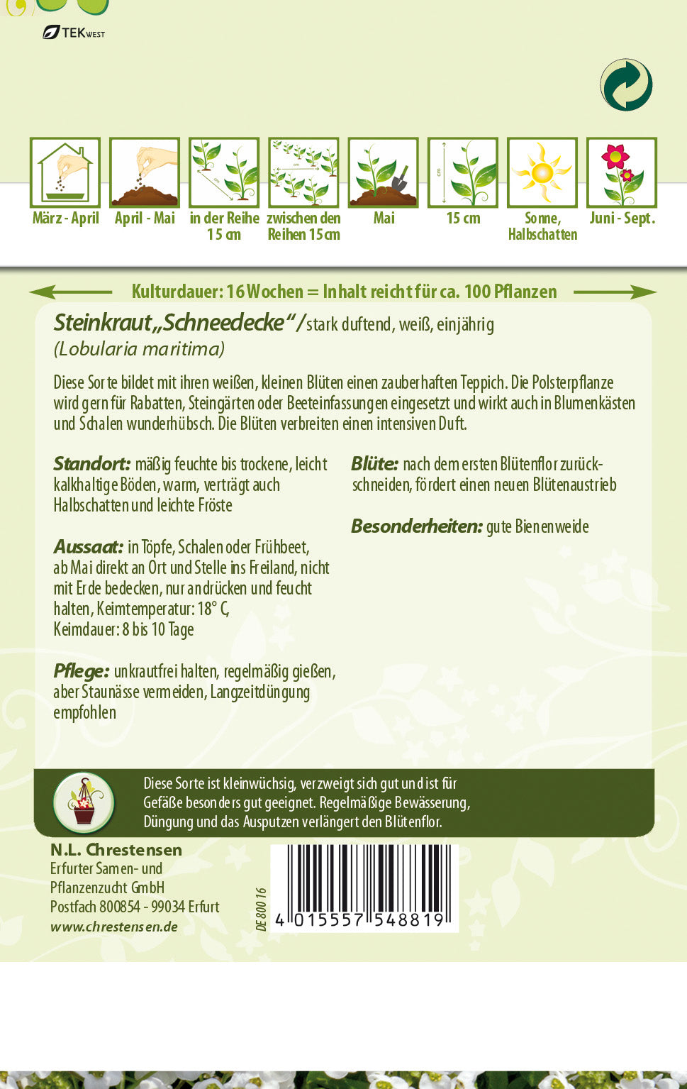 N.L. Chrestensen Steinkraut Schneedecke