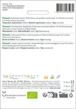 Sativa BIO Winterkopfsalat Trémont