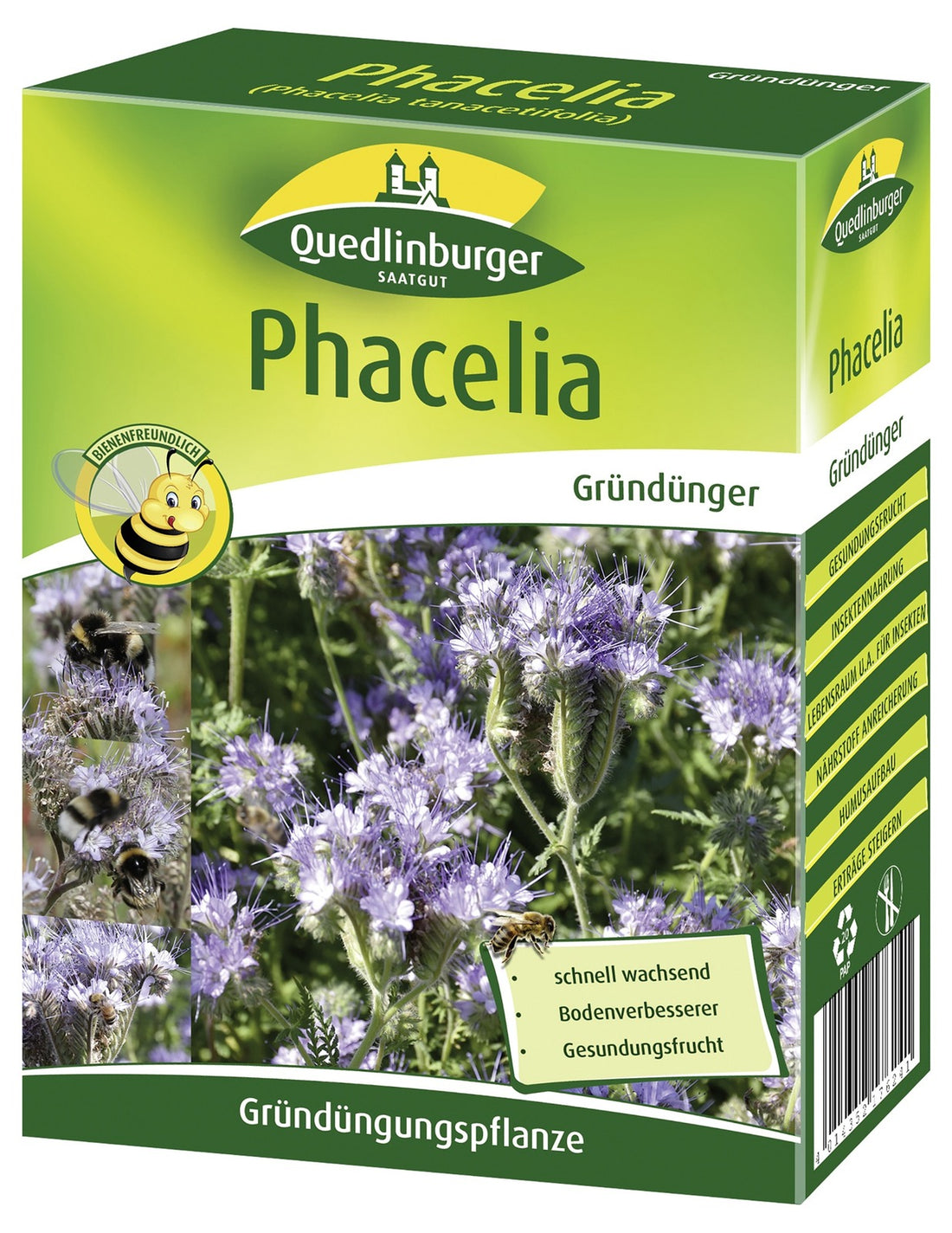 Quedlinburger Gründüngung Phacelia