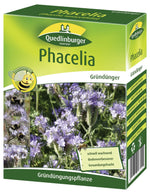 Quedlinburger Gründüngung Phacelia