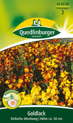 Quedlinburger Goldlack Einfache Mischung