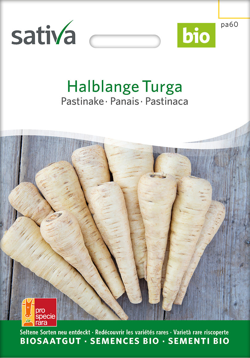 Sativa Pastinake Halblange Turga