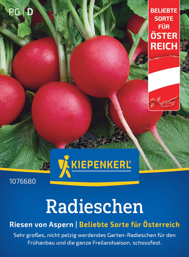 Kiepenkerl Radies Riesen von Aspern Österreich Sorte