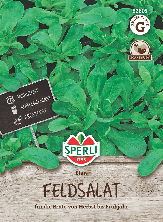 SPERLI Feldsalat Elan