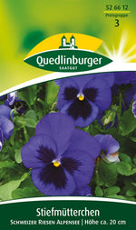 Quedlinburger Stiefmütterchen Schweizer Riesen Alpensee