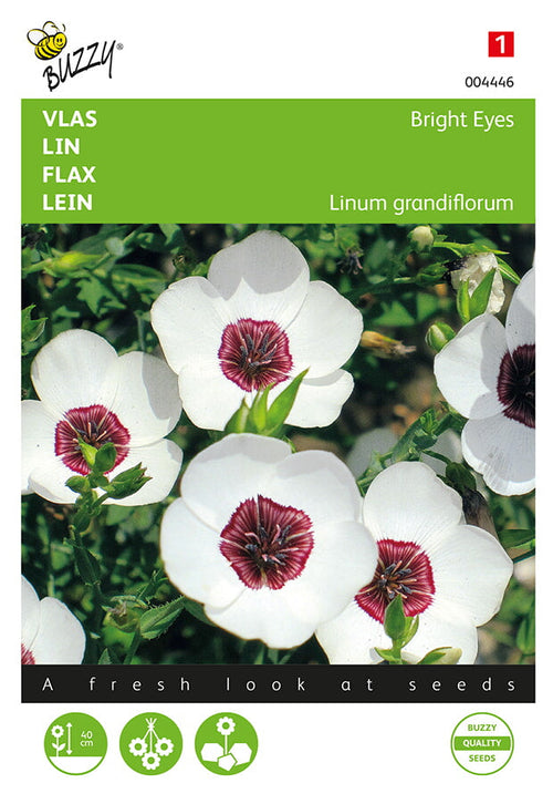 Buzzy Seeds Lein Bright Eyes