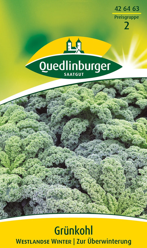 Quedlinburger Grünkohl Westlandse Winter