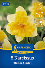 Profi-Line Narzisse Blazing Starlet