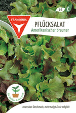 Frankonia Samen Pflück- & Schnittsalat Amerikanischer brauner