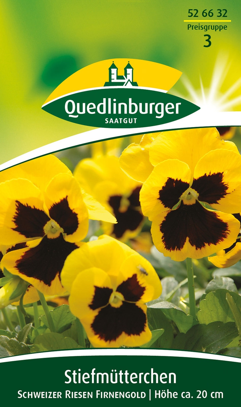 Quedlinburger Stiefmütterchen  Schweizer Riesen Firnengold