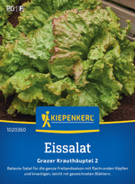 Kiepenkerl Eisbergsalat Grazer Krauthäuptel 2