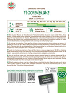 SPERLI Flockennblume Aloha-Mix