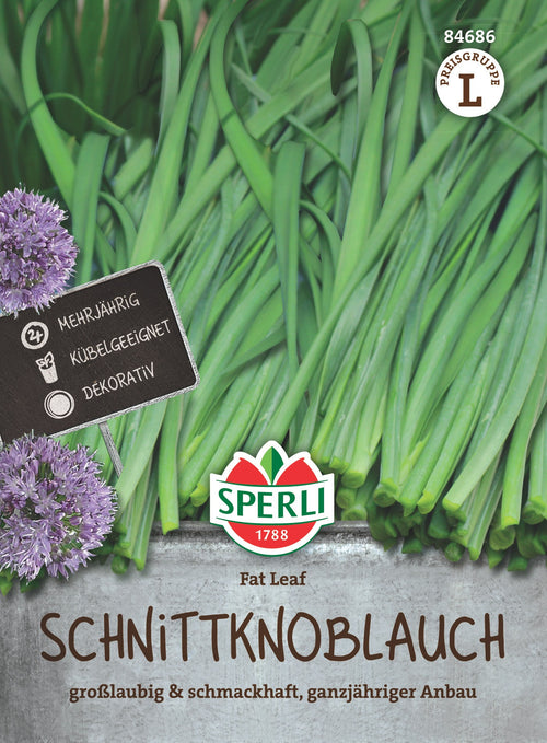 SPERLI Schnittknoblauch Fat Leaf