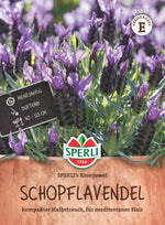 SPERLI Schopflavendel SPERLI's Kronjuwel