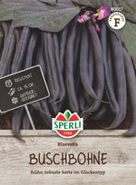 SPERLI Buschbohne Bluevetta