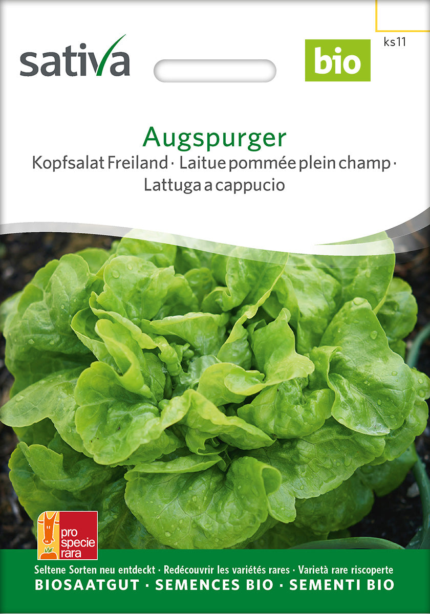 Sativa BIO Kopfsalat Freiland Augspurger