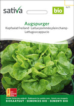 Sativa BIO Kopfsalat Freiland Augspurger
