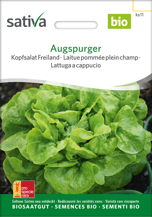 Sativa BIO Kopfsalat Freiland Augspurger