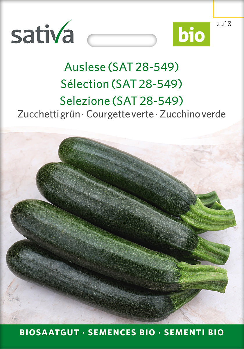 Sativa Zucchetti grün Auslese (SAT 28-549)