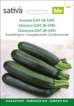 Sativa Zucchetti grün Auslese (SAT 28-549)