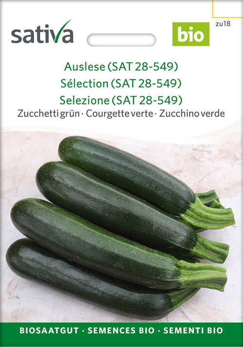 Sativa Zucchetti grün Auslese (SAT 28-549)