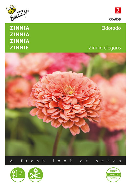 Buzzy Seeds Zinnien Eldorado