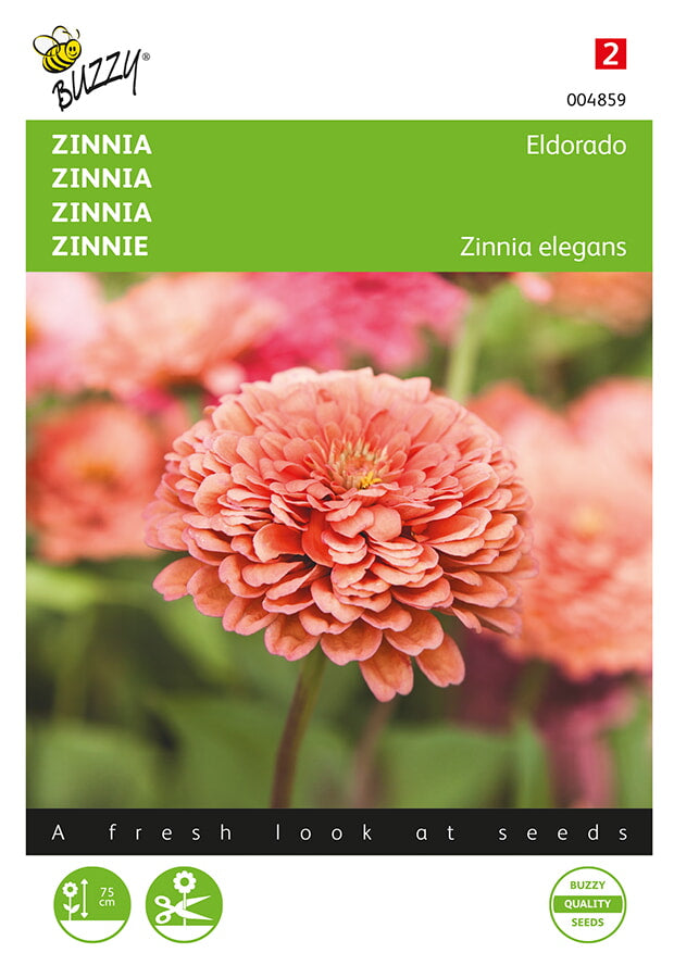 Buzzy Seeds Zinnien Eldorado