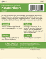 Pabst Keimkraft Monatserdbeeren Rügen