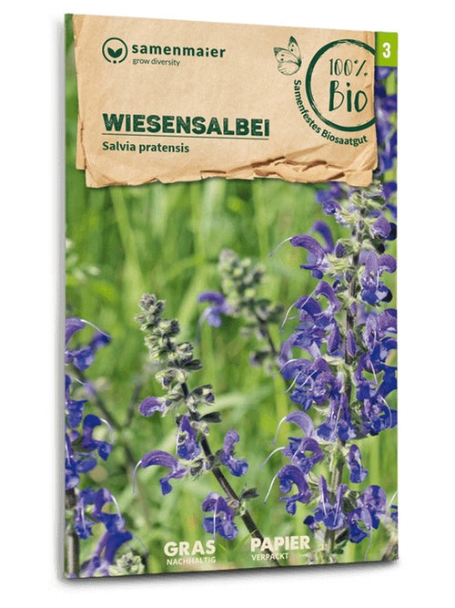 Samen Maier BIO Wiesensalbei