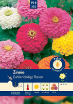 Pabst Keimkraft Zinnien Dahlienblütige Mischung