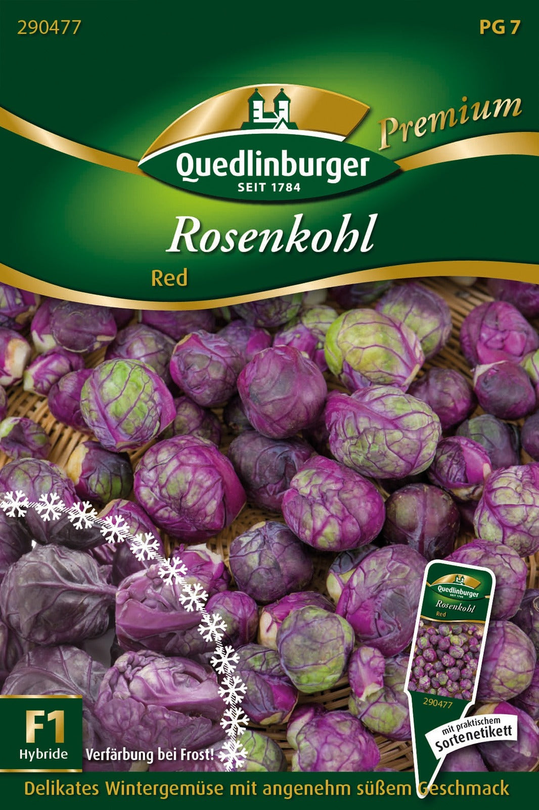 Quedlinburger Rosenkohl Red