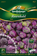 Quedlinburger Rosenkohl Red