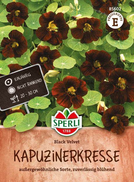 SPERLI Kapuzinerkresse Black Velvet