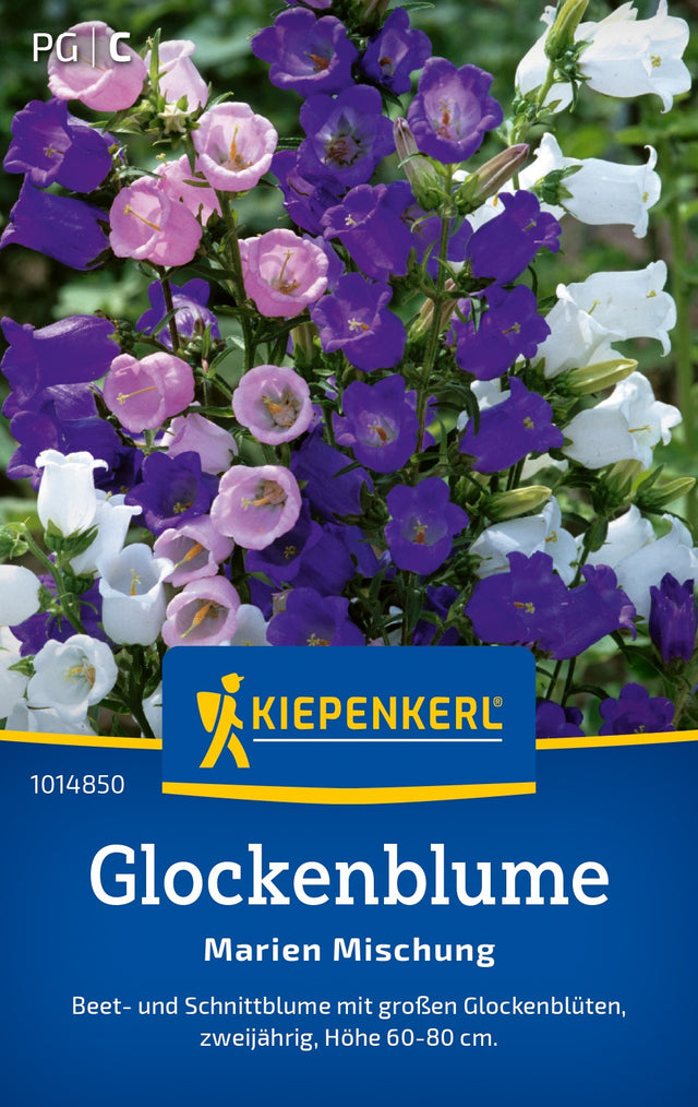 Kiepenkerl Glockenblumen Marien Mischung
