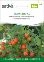 Sativa Balkontomate Sterntaler KS