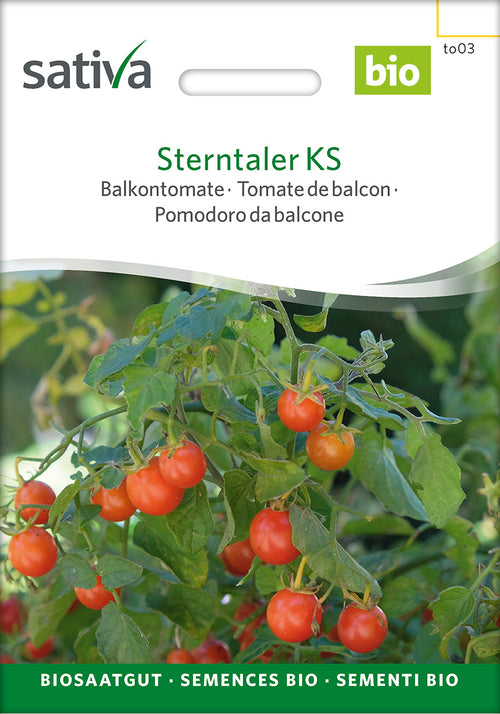 Sativa Balkontomate Sterntaler KS