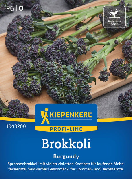 Kiepenkerl Brokkoli Burgundy