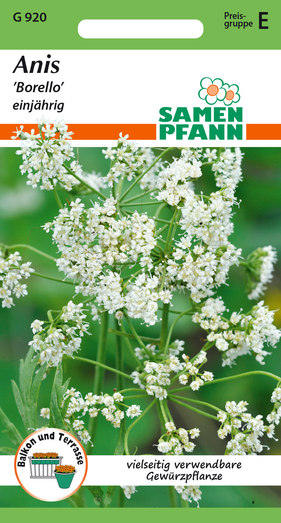 Samen Pfann Anis einjährig