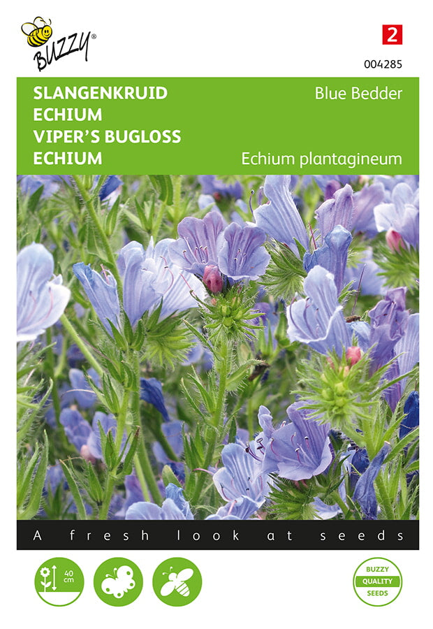 Buzzy Seeds Natternkopf Blue Bedder
