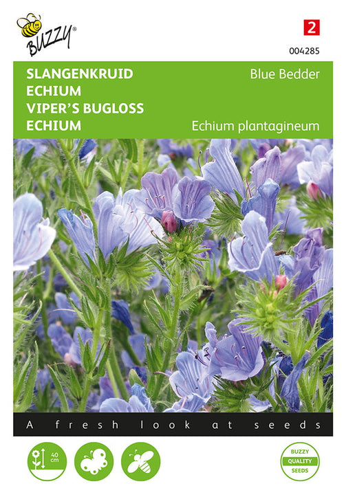 Buzzy Seeds Natternkopf Blue Bedder