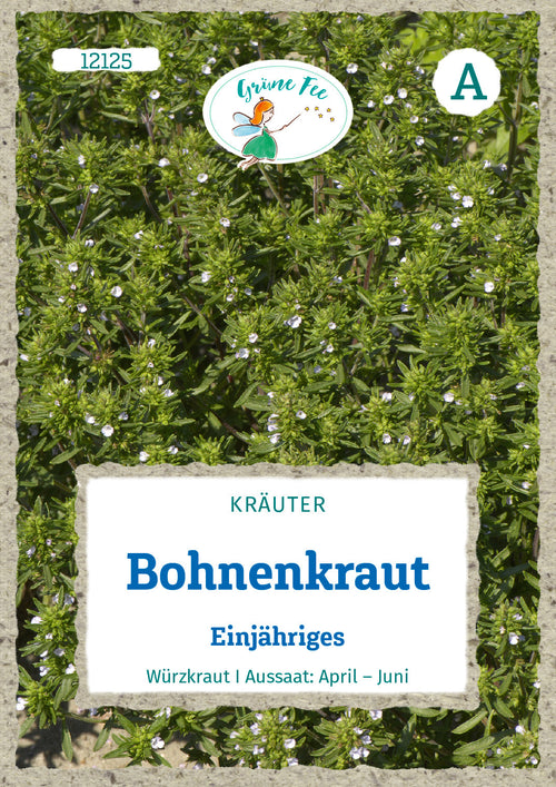 Grüne Fee Bohnenkraut Einjährig
