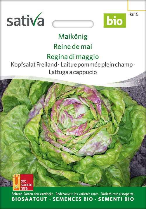 Sativa BIO Kopfsalat Freiland Maikönig