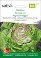 Sativa BIO Kopfsalat Freiland Maikönig