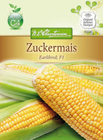 N.L. Chrestensen Zuckermais Earlibird, F1